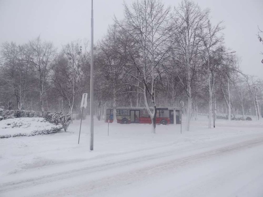 Zima w Pleszewie w 2013 roku