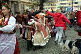 Legnicki Piknik Patriotyczny- Święto Niepodległości w Legnicy. Jakie atrakcje czekają na mieszkańców