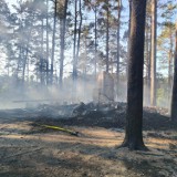 Pożar trzech domków letniskowych i poszycia leśnego we Wdzydzach. Na miejscu pracuje 12 zastępów straży pożarnej