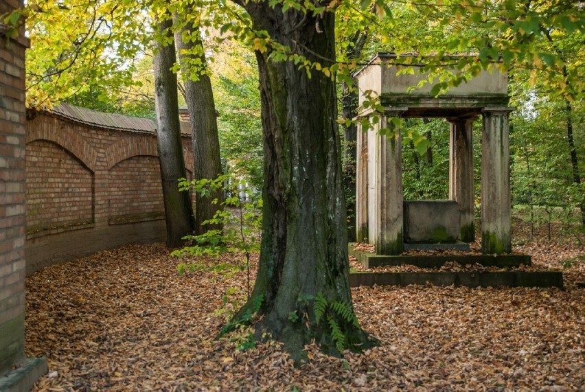 Zjawiskowy park i arboretum w Lusławicach pod Tarnowem otwiera się w jesiennej krasie. Oprowadzi ogrodnik Krzysztofa Pendereckiego