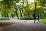 Kraków ma pomysł na rewitalizację parku Żeromskiego