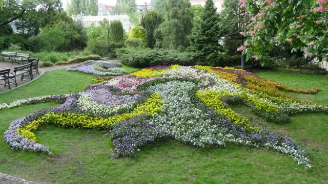Fantastycznie i kolorowo w Ogrodzie Botanicznym we Wrocławiu