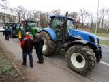 Rolnicy wyszli na ulice. Blokowali drogi w pokojowym proteście przeciwko tzw. piątce dla zwierząt