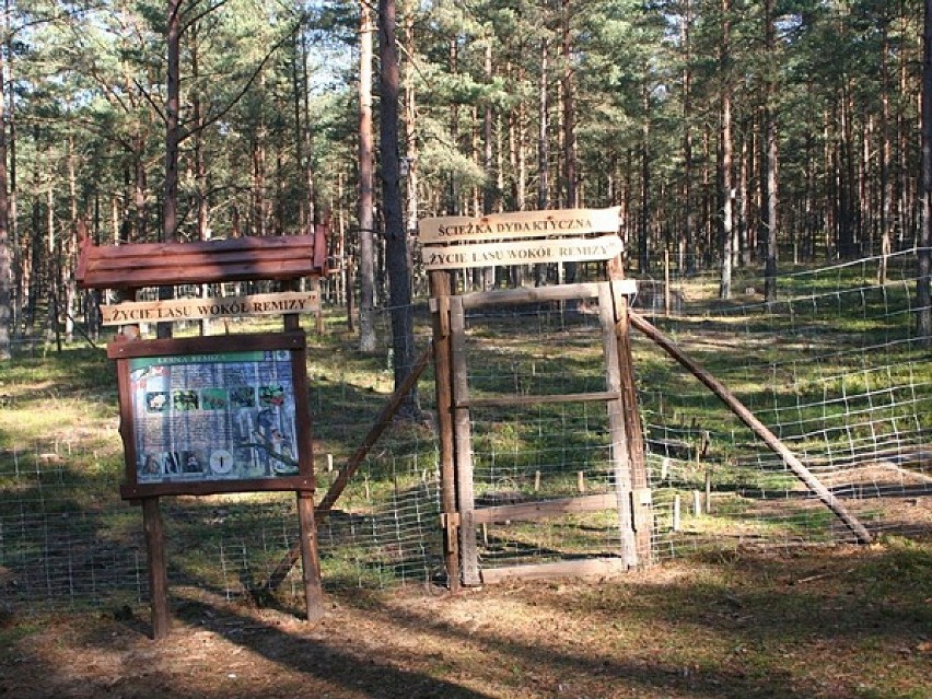 W powiecie kościerskim jest 6 pieszych i 9 rowerowych...