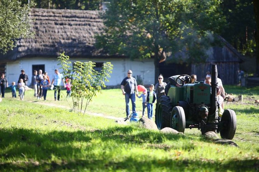 Festiwal Ziemniaka w skansenie. Impreza w Radomiu przyciągnęła tłumy 