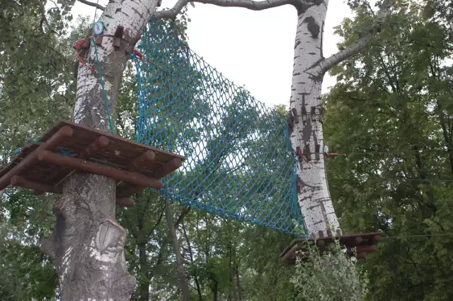 Park linowy w Jaśle w obecnej formule nie będzie modernizowany ze względu na chore drzewa