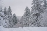 Piękna zima w Beskidzie Sądeckim. Ośnieżone góry i lasy