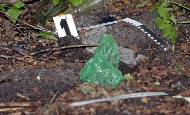 Przeszukanie okolic zaginięcia Iwony Wieczorek, które miało miejsce pod koniec września, doprowadziło do znalezienia kości i kilku skrawków ubrań. Zabezpieczone materiały poddano analizie. CZYTAJ O AKCJI POLICJI >>>