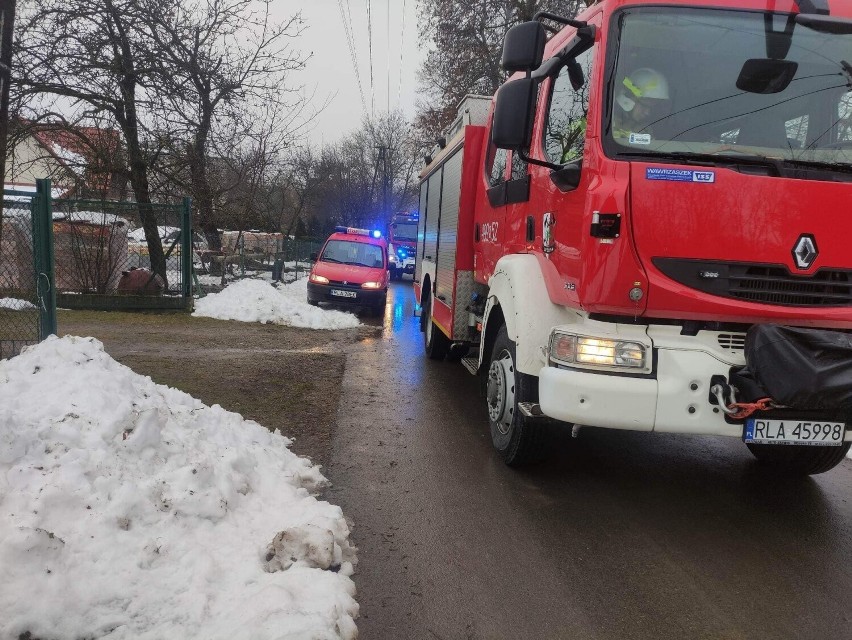 Strażacy z Żołyni i Łańcuta uratowali szczeniaczka, który wpadł do studzienki