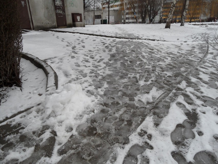 Zima Żory: Mamy nadzieję, że to ostatni śnieg tej zimy! Zobacz białe nasze miasto FOTO