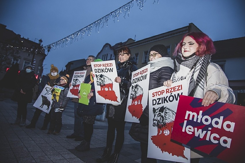 Rybnik: "Stop rzezi dzików". Protest ekologów na rynku w...