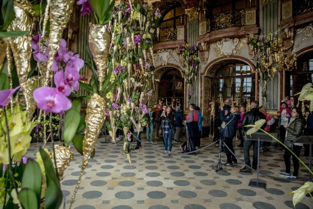 Dla wielu wizyta na Książku z początkiem maja to już tradycja. Nic dziwnego, atrakcji tam na pewno nie zabraknie! Cały program tegorocznego Festiwalu Kwiatów i Sztuki znajdziecie TUTAJ

W Książu wiemy jak dużo energii mają w sobie najmłodsi, właśnie dlatego przygotowaliśmy jeszcze więcej atrakcji dla rodzin z dziećmi – nie zabraknie animatorów ani przedstawień komediowych, również tych o tematyce ekologicznej. Pojawi się obóz rycerski wraz z pokazem walk, a warsztaty florystyczne dla najmłodszych będą trwały dłużej. Odbędzie się mnóstwo zajęć artystycznych jak „Tworzenie własnego komiksu”. Z pewnością absolutnym hitem festiwalu stanie się Tajemniczy Ogród – kreatywna, multisensoryczna strefa roślinna dla dzieci, która zajmie aż ¼ trzeciego piętra zamku!

Po raz pierwszy w książańskich podcieniach stanie makieta z Kolejkowa, po której poruszać się będą małe pociągi. To będzie wyjątkowa atrakcja dla małych i dużych! A to nie wszystko!