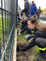 W sobotę akcja Czysty Zielony Wałbrzych. Chodźcie sprzątać i sadzić drzewa z prezydentem Romanem Szełemejem