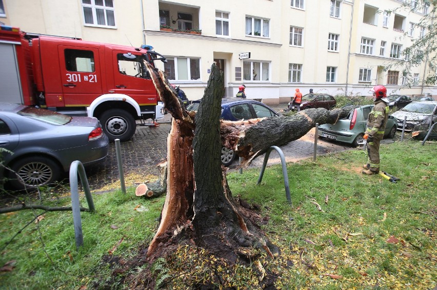 Silny i porywisty wiatr w województwie zachodniopomorskim i Szczecinie. ALERT RCB - powalone drzewa, uszkodzone samochody. Strażacy w akcji