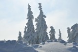 Śnieg, narty i piękne widoki. Tak możesz spędzić ferie zimowe 