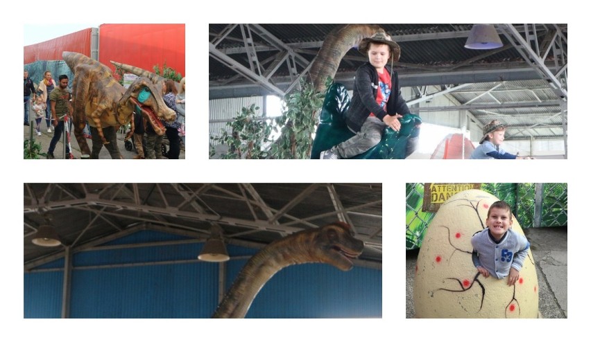 Dino Expo 2019. Podróżnicza wystawa dinozaurów i pająków. Leszno odwiedziła nietypowa ekspozycja [ZDJĘCIA] 
