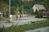 Ubocze/ Olszyna:  Nie ma dróg, mostów, domów. Pomóżmy powodzianom