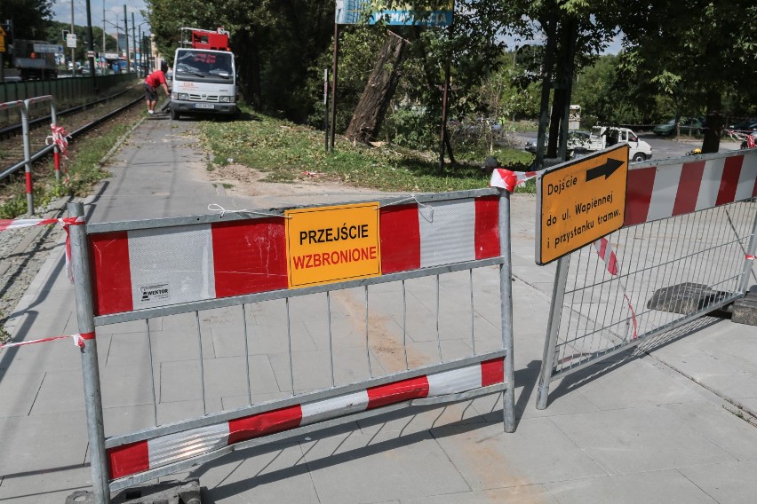 Kraków: powstaje 120-metrowa ścieżka rowerowa. Żeby zbudować ścieżkę, muszą wyciąć drzewa