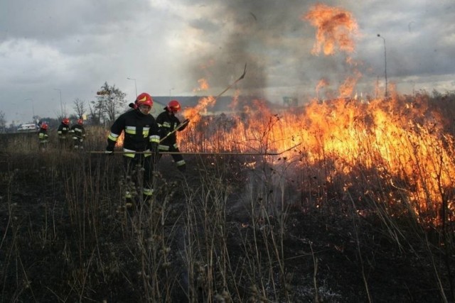 Strażacy walczący z pożarem traw