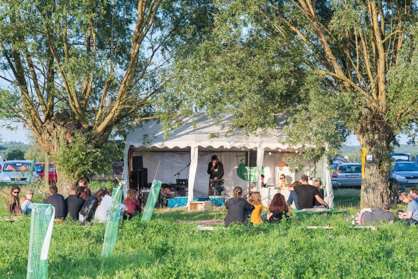 Grassroots Festiwal w Rudnikach w obiektywie Tomka Tarachy [ZDJĘCIA]