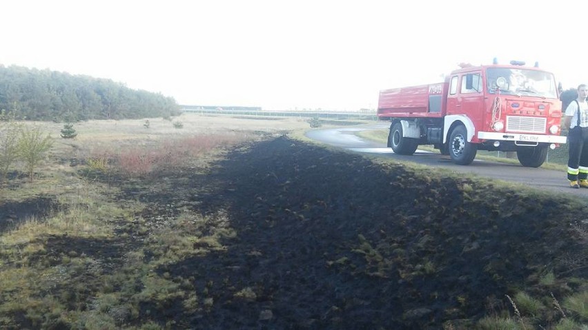 OSP Dąbie nad Nerem: Pożar trawy w Sobótce