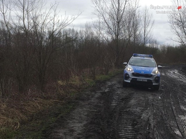 Policjanci z Gorzyc ustalili, kto ukradł przygotowane do zabrania drewno z lasu w Rogowie