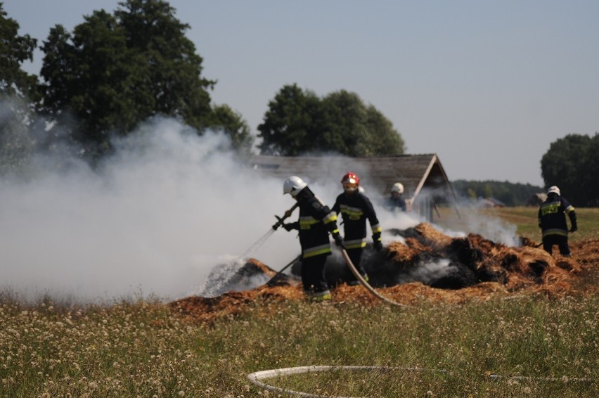 Pożar słomy gasili strażacy 17 sierpnia w Mechlinie/fot....