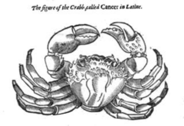 Rysunek kraba z XVII-wiecznego dzieła Ambroise Paré, który stał się symbolem onkologii.