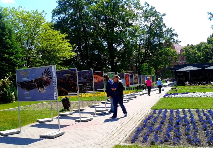 Wystawa fotograficzna przy Alei Solidarności w Toruniu  „Okiem orła”