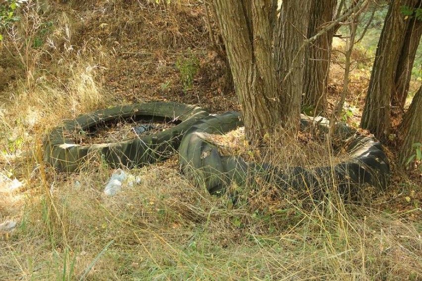 Usunęli cmentarzysko opon. Niektóre niemal wrosły w drzewa [ZDJĘCIA]