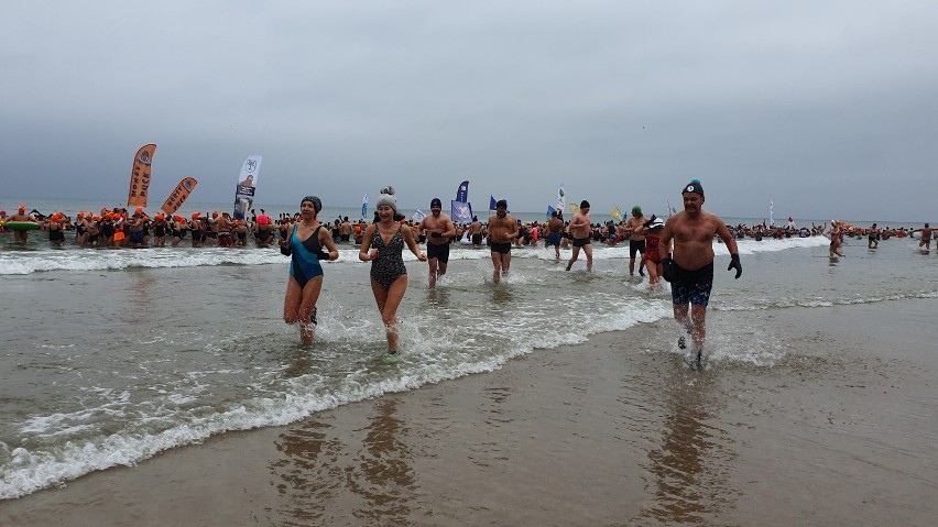 Władysławowo i plaża zimą: 6. Wielkie Nordowe Morsowanie