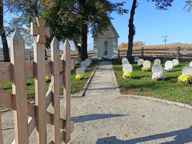 Cmentarz z okresu I wojny światowej w Drohojowie w gm. Orły.