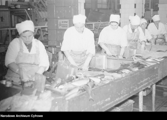 Przedsiębiorstwa Połowów Dalekomorskich i Usług Rybackich "Odra" w Świnoujściu. Rok 1969.