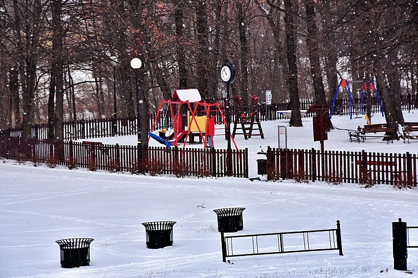 Gorlicki Park Miejski przykryty śniegiem zachęca do spacerów