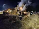 Strażacy walczyli z nocnym pożarem balotów słomy w miejscowości Jasna Góra
