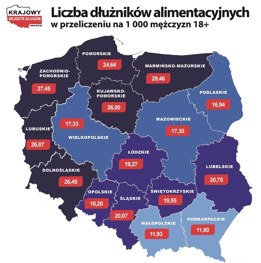 Alimenty na dzieci. Pomorze w czołówce dłużników [INFOGRAFIKA]