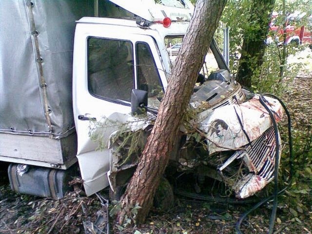 Efekt niebezpiecznego spotkania z sarną na sulmierzyckiej drodze