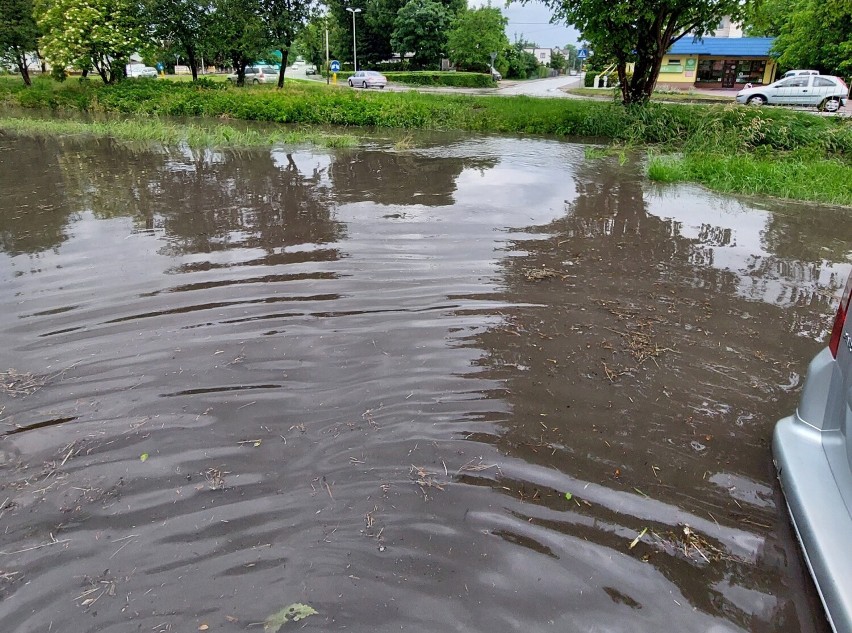 Rzeka Brzeźnica zalewa domy mieszkańców Jędrzejowa. Każde obfite opady deszczu wiążą się z obawami