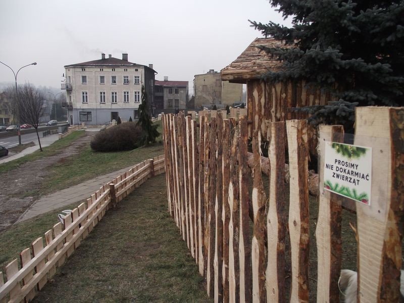 Będzińska szopka bożonarodzeniowa pod murami kościoła Świętej Trójcy [ZDJĘCIA]