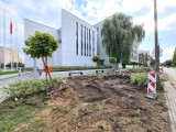 Ludzkie kości na placu budowy w Toruniu. Kto był pochowany przy Bożej Męce na Mokrem?