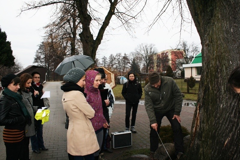 Syców: &quot;Drzewa w otwartym krajobrazie&quot;