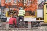 Lipy wracają na Plac Wolności w Rybniku. Poprzednie drzewka nie poradziły sobie w nowym miejscu