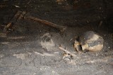 Gdynia: Mieszkaniec znalazł na plaży ludzki szkielet