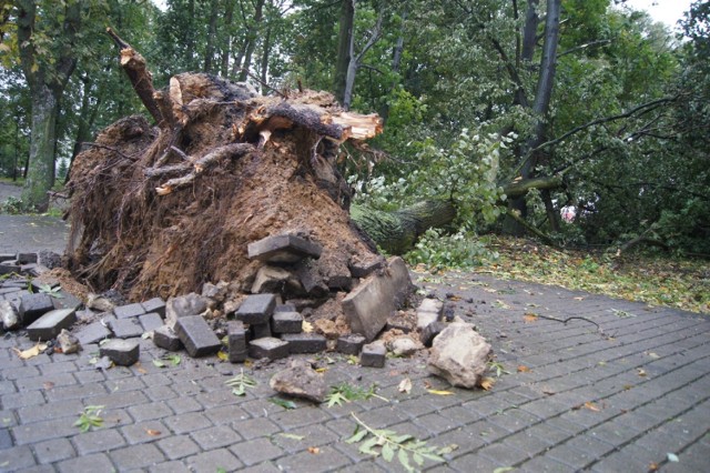 Skutki wichury w Radomsku i powiecie radomszczańskim