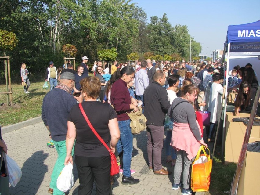 Święto Drzewa w Ostrowie Wielkopolskim