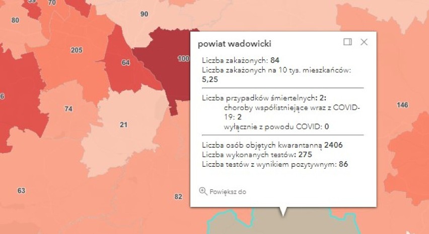 Ponad dwadzieścia tysięcy zakażeń COVID-19 w Polsce. W powiatach oświęcimskim, wadowickim, chrzanowskim i olkuskim też są nowe przypadki