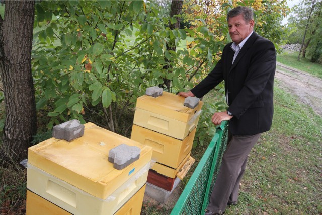 Grono, które go zadaniem będzie uwierzytelnienie wytrucia pszczół, zostanie wyodrębnione przez Starostwo Powiatowe w Świeciu.