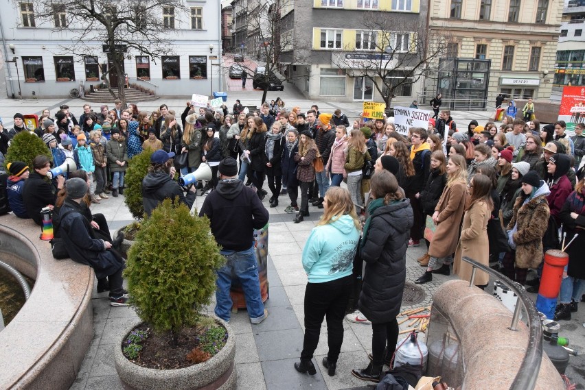 Strajk klimatyczny w Bielsku-Białej. Trzeba chronić Ziemię. I to jak najszybciej!  [ZDJĘCIA]