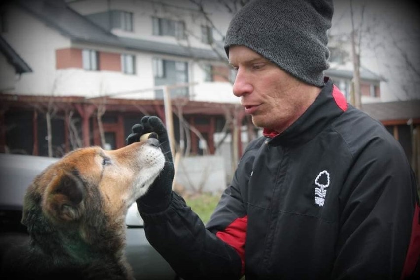 Zobacz na kolejnych slajdach psich seniorów, którzy czekają...