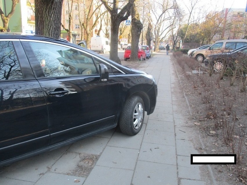 Mistrzowie Parkowania w Płocku. Straż Miejska złapała "najlepszych" kierowców na parkingach [ZDJĘCIA]